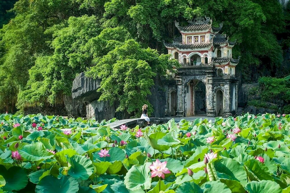 Bich Dong Pagoda captivates visitors with its peaceful ambiance, moss-covered stone steps, and panoramic views of lotus lagoon